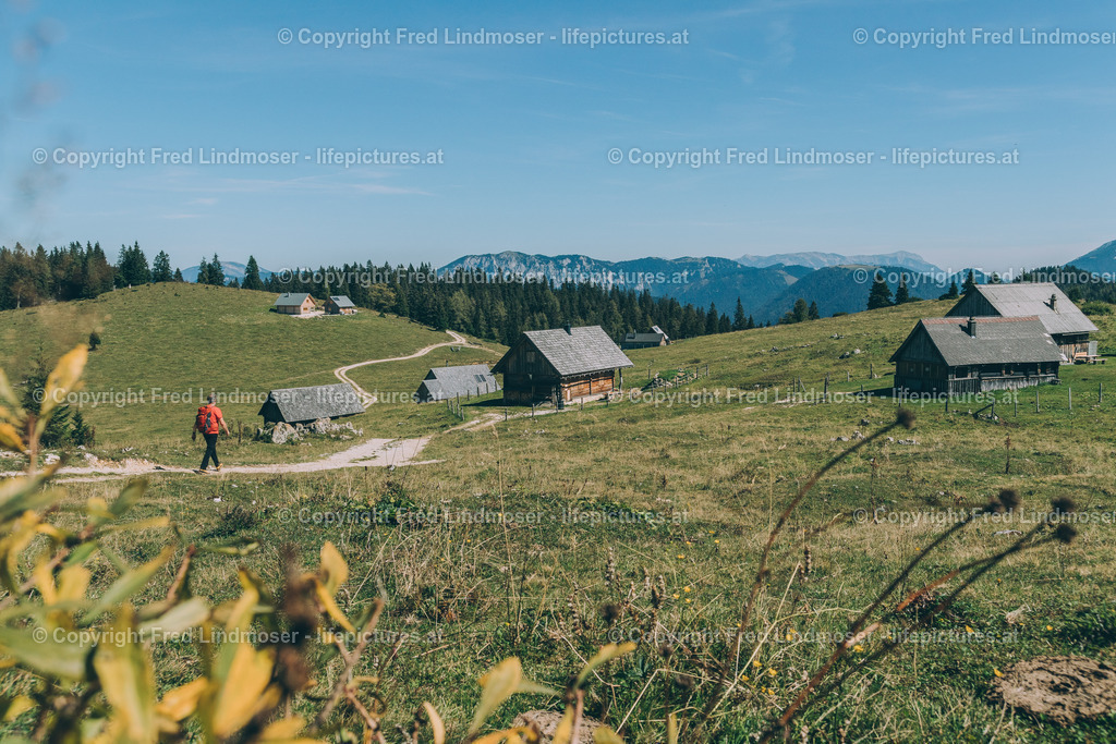 Zeller Staritzen Zinken (1619 m)-4865 | Fotos und Fotoprodukte - Realisiert mit Pictrs.com