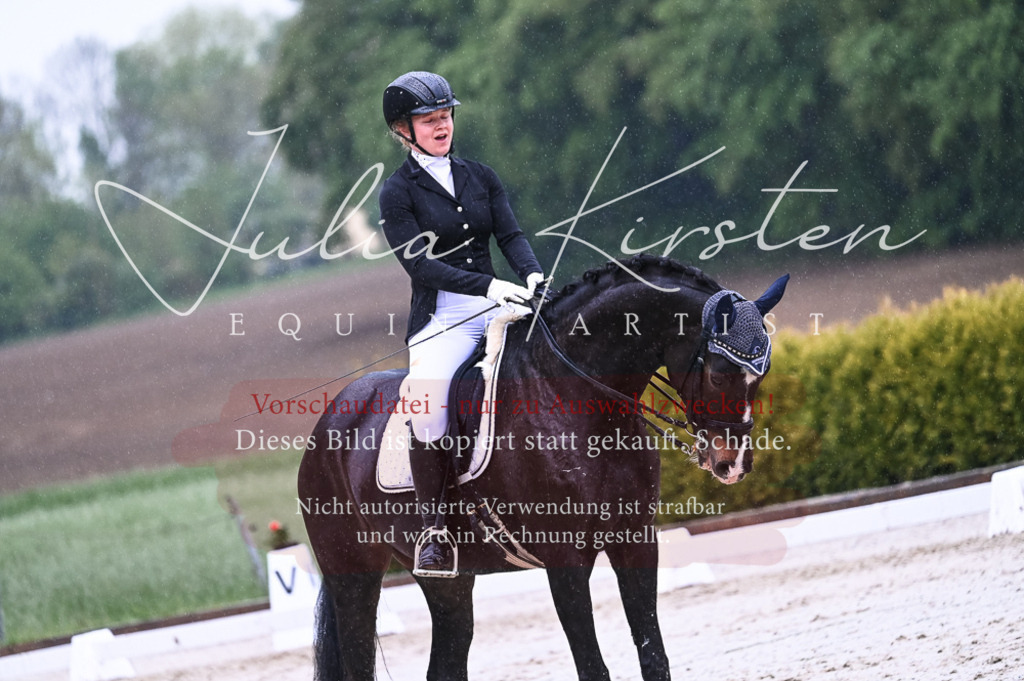 DSC_4520 | Pferde- und Turnierfotografie in Westsachsen. Pferdeportraits, Auftragszeichnungen und intuitive Kunst.