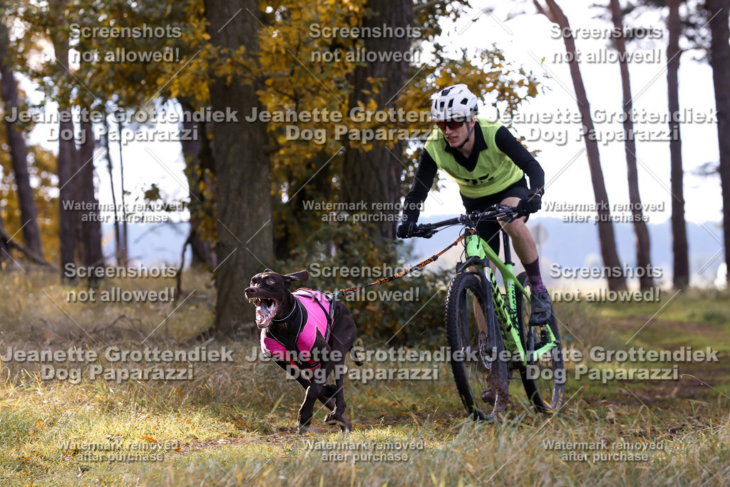 Dog Paparazzi - Elsholz 25 -136 | Dog Paparazzi Jeanette Grottendiek Fotografie & Videografie - Realisiert mit Pictrs.com