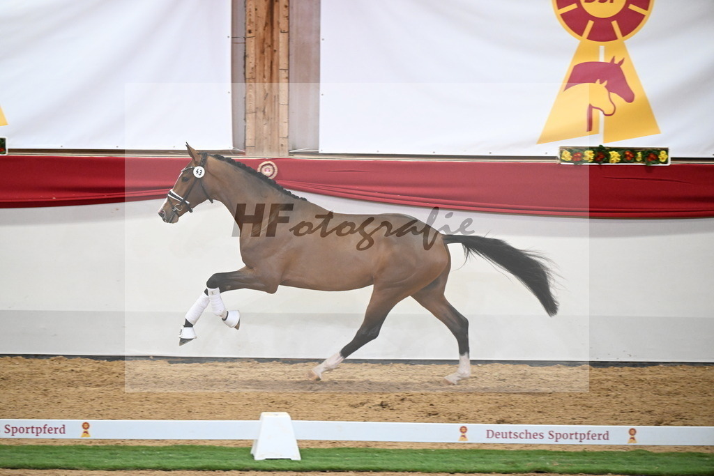 Kat.-Nr. 43 v. Benicio_Fleischmann_2250027 | hf-fotografie - Realizzato con Pictrs.com