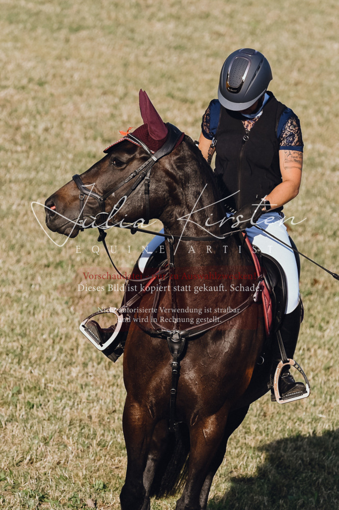 DSC_3226 | Pferde- und Turnierfotografie in Westsachsen. Pferdeportraits, Auftragszeichnungen und intuitive Kunst.