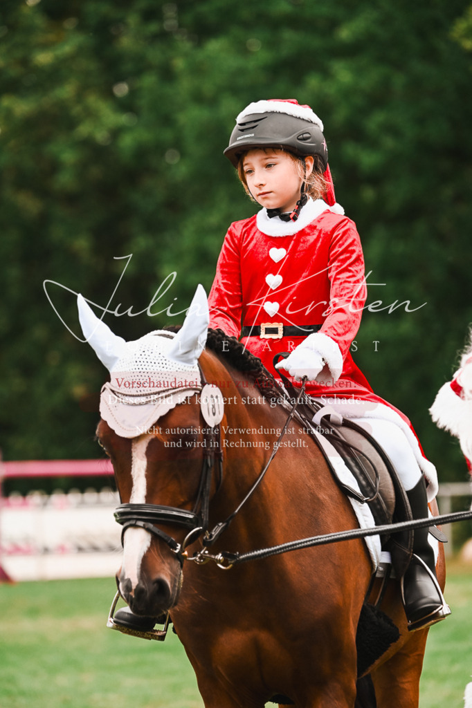 DSC_7557 | Pferde- und Turnierfotografie in Westsachsen. Pferdeportraits, Auftragszeichnungen und intuitive Kunst.