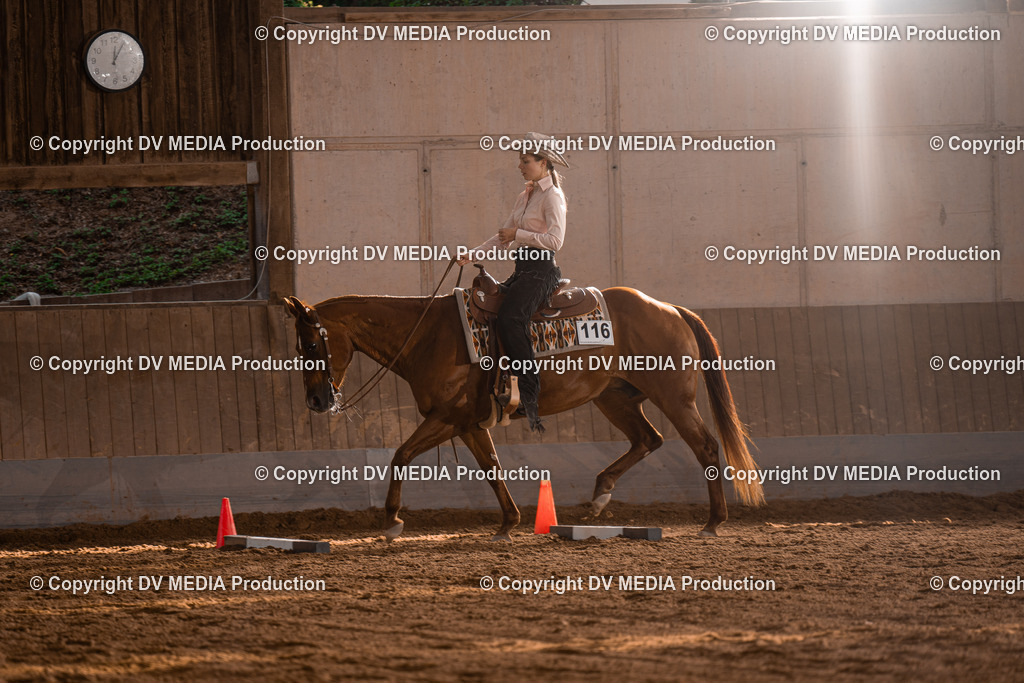 NE101198 | dv-media-shop - Realisiert mit Pictrs.com