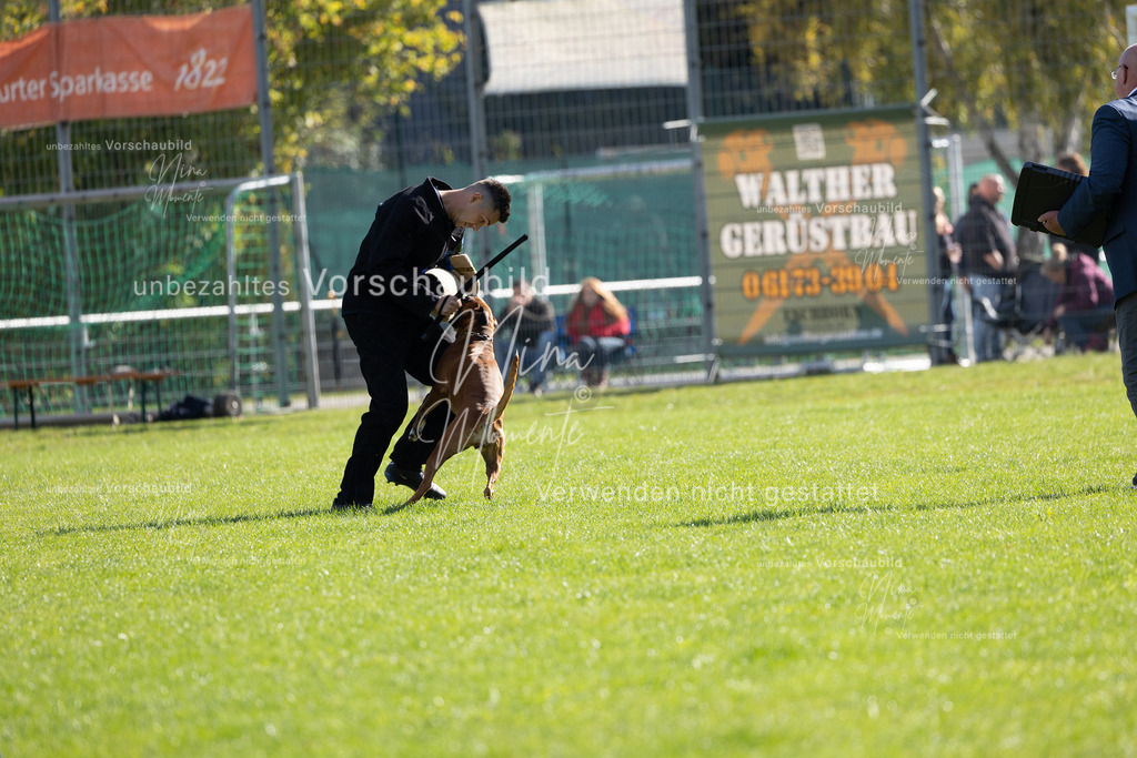 _16A5359 | Einzigartige Fotos von Hunden & Menschen –Actionfotos, Portraits, Vereinsaufnahmen & Paarshootings – authentisch, lebendig & mit Herz.