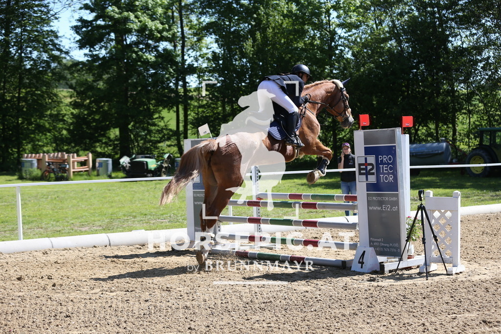 DL2Q0759 | Willkommen bei Brunnmayr - Design & Fotografie – Ihrem Spezialisten für Reitturniere und Pferdeveranstaltungen in Oberösterreich, Salzburg und Bayern! Seit über 17 Jahren sind wir leidenschaftlich dabei.