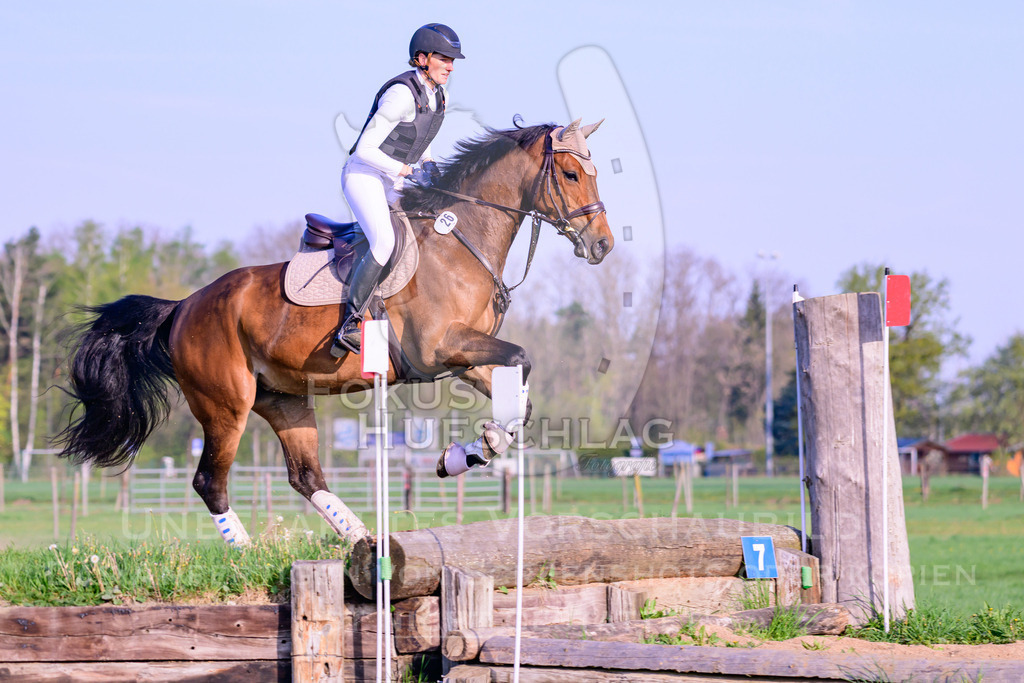 18042026-Gernlinden-02-0157 | Fokus Hufschlag Fotografie - Realisiert mit Pictrs.com