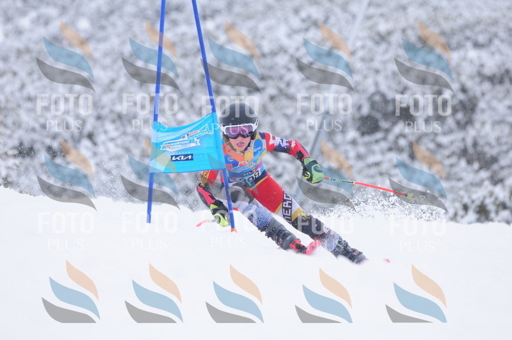 C4213 | holidayphoto