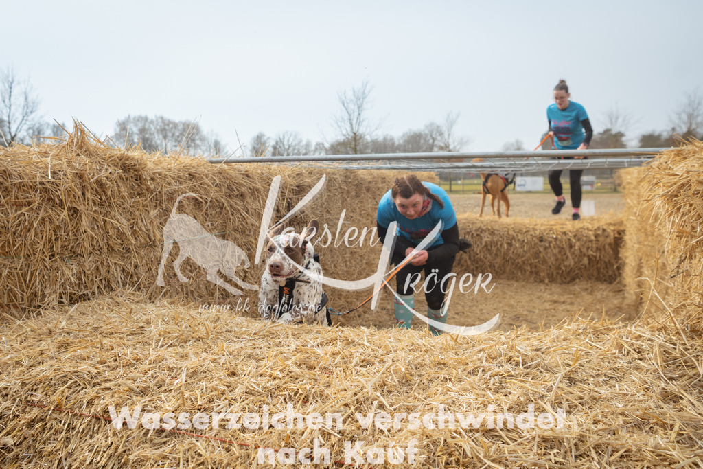 1031_ZZ95802 | kk-dogfotos