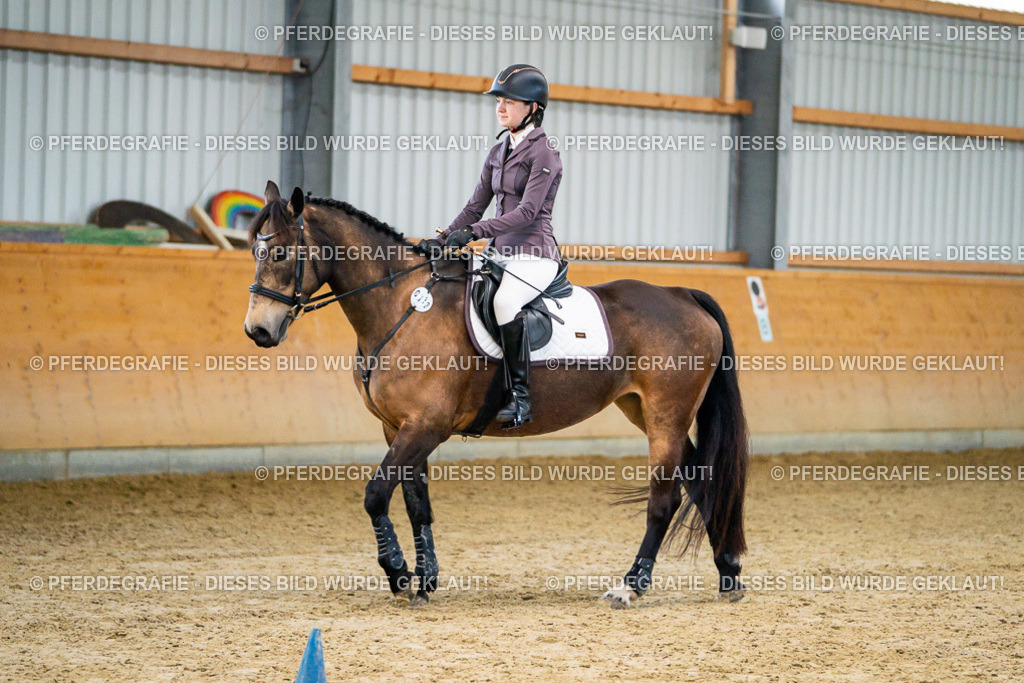 DSC00567 | Pferdegrafie