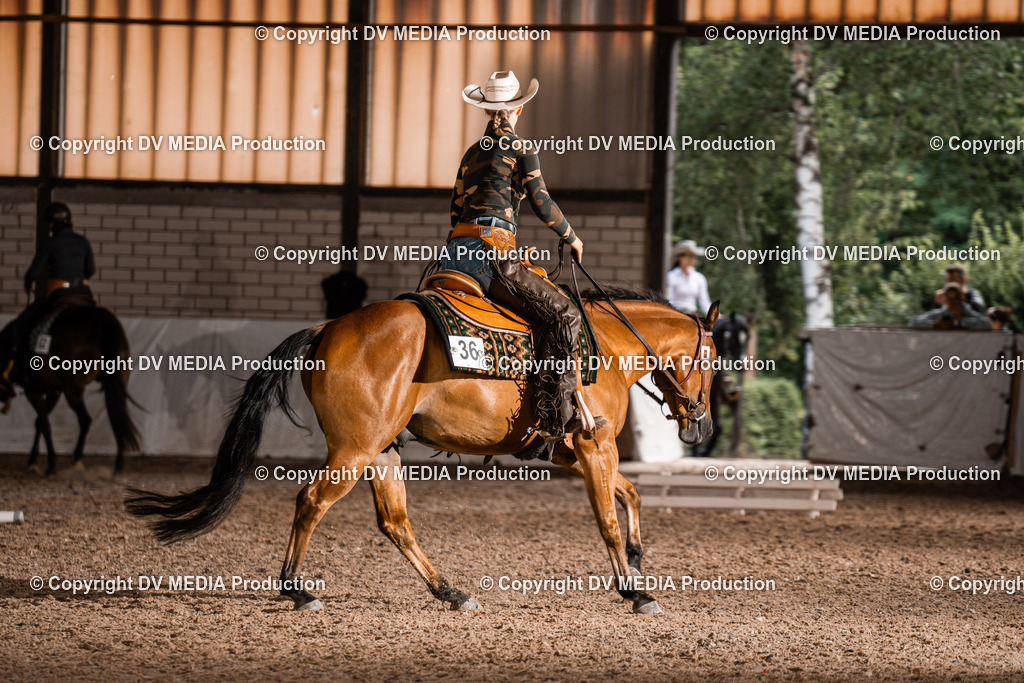 ZH300249 | dv-media-shop - Realisiert mit Pictrs.com