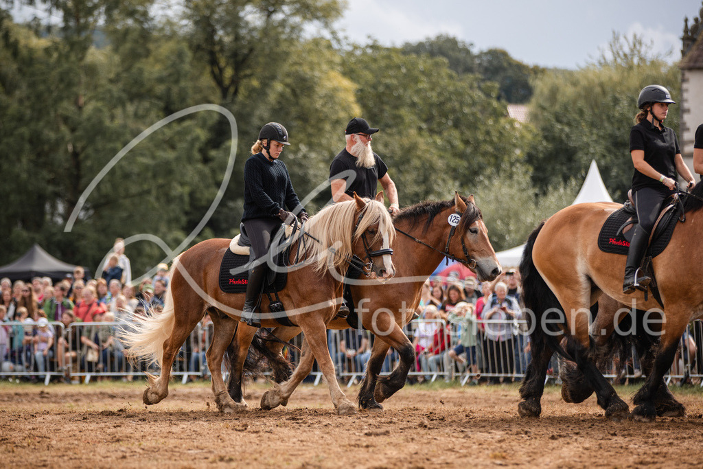 846A4000 | fotosleben - Realisiert mit Pictrs.com