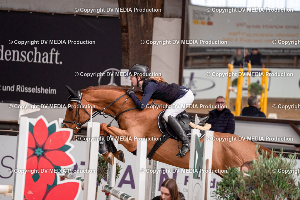 Kranichstein II Tag 3-387 | dv-media-shop - Realisiert mit Pictrs.com