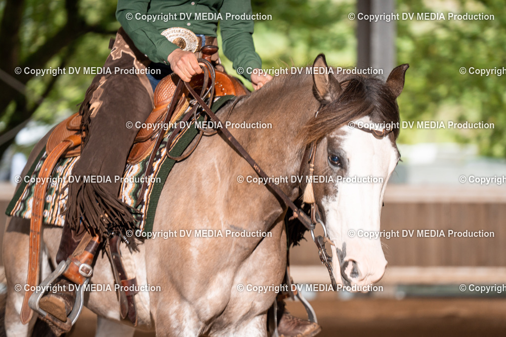 Erbach Tag 2-473 | dv-media-shop - Realisiert mit Pictrs.com