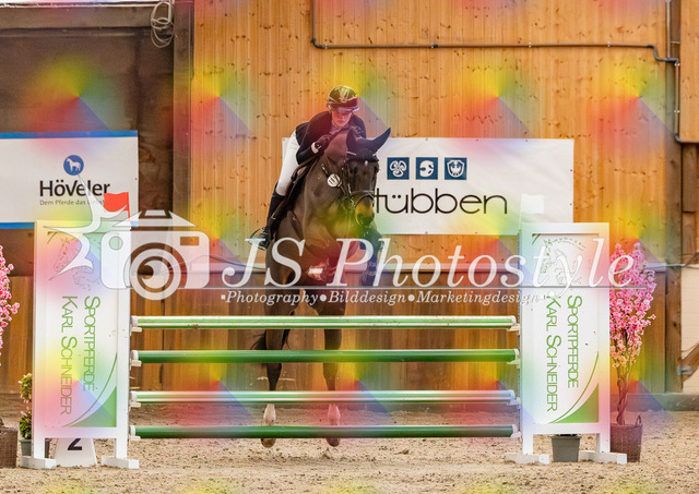 20260221_03_Springpferdeprfg KlL115-227 | JS-Photostyle - Sport-/Portrait- & Eventfotografie