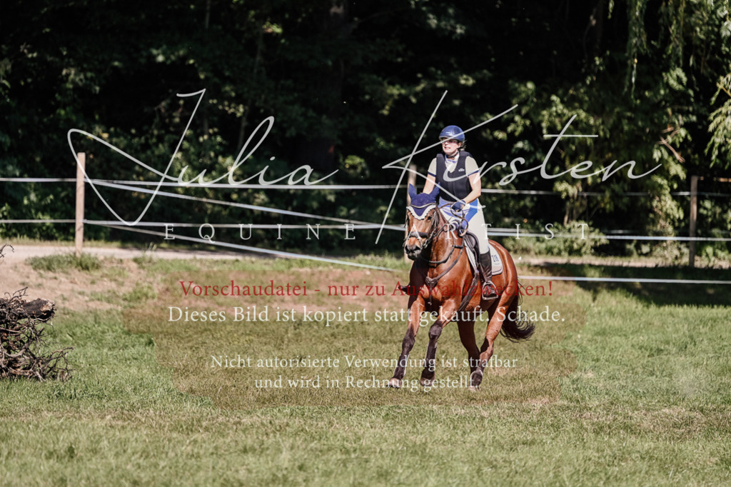 DSC_2640 | Pferde- und Turnierfotografie in Westsachsen. Pferdeportraits, Auftragszeichnungen und intuitive Kunst.