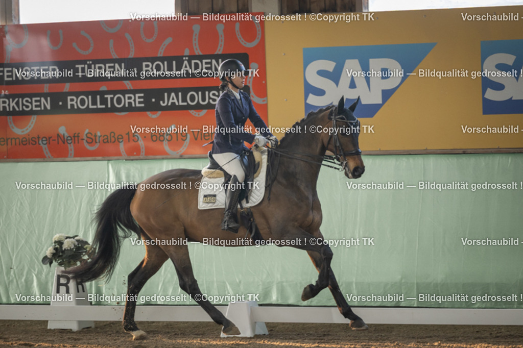 _D5A3932 | Emotionale Pferde- & People-Fotografie rund um Heidelberg, Leimen & Umgebung. Natürliche Fotos von Pferd, Mensch & Familie. Jetzt Termin sichern!