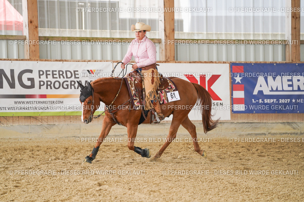 DSC02084 | Pferdegrafie