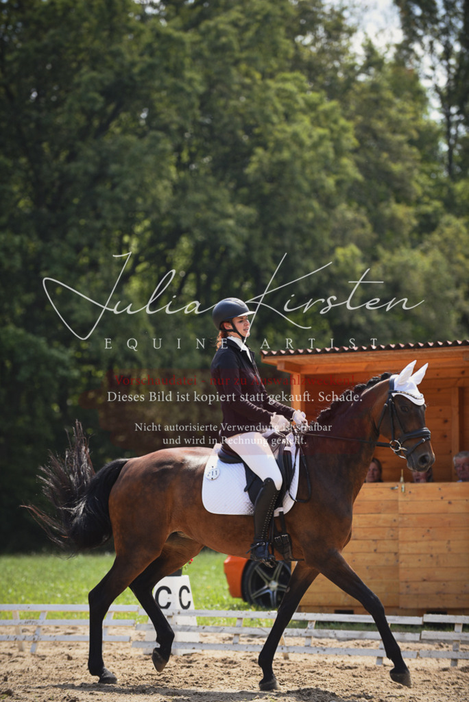 DSC_1063 | Pferde- und Turnierfotografie in Westsachsen. Pferdeportraits, Auftragszeichnungen und intuitive Kunst.