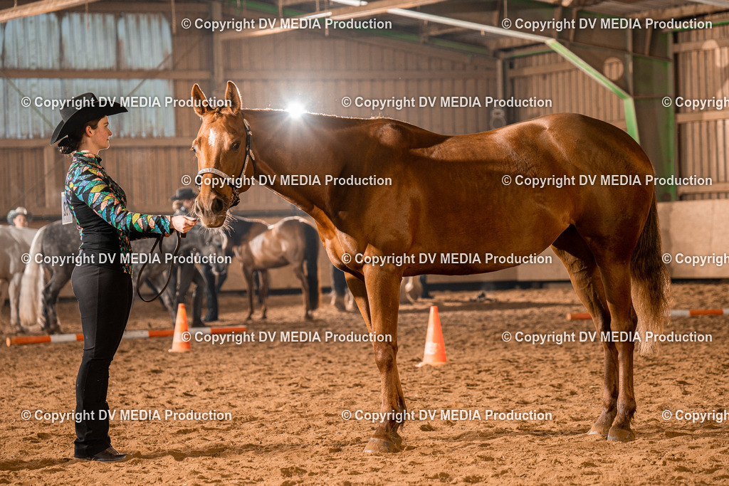 BAL01243 | dv-media-shop - Realisiert mit Pictrs.com