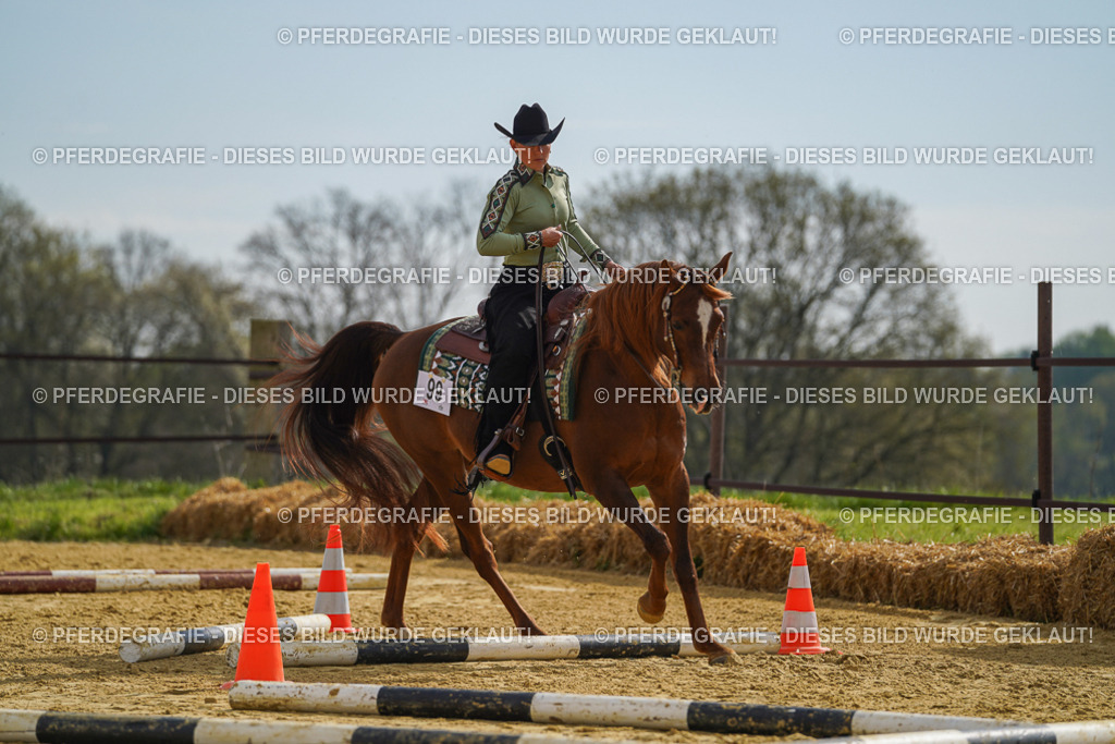 DSC01819 | Pferdegrafie