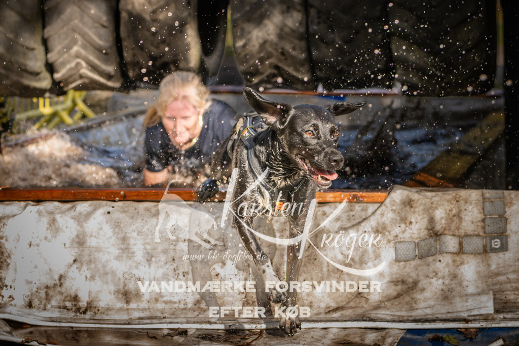 1158_ZZ93984 | kk-dogfotos