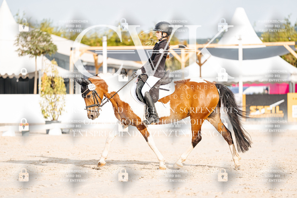 CK903989 | Turnierfotografie Pferdefotografie Trier Rheinland-Pfalz Pferdesport Reitsport Tierfotografie Sportfotografie Pferdevideo Pferdevideografie Equestrianvideography equestrianphotography  - Realisiert mit Pictrs.com