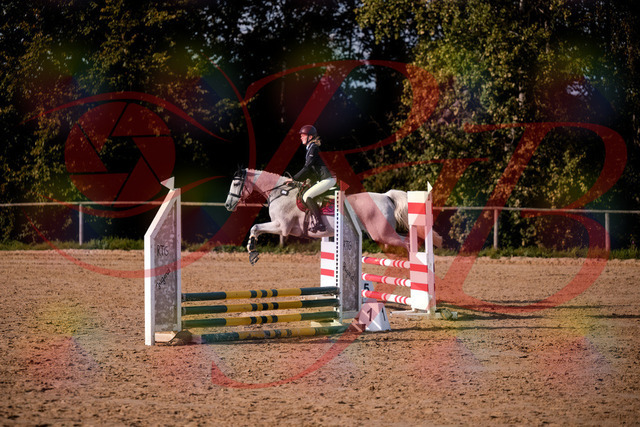 2026_10_03_Siefer-Hof_155148_Z81_71091175 | Professionelle Reitsport-, Turnier- und Eventfotografie von Robert Broda. Galerien mit ausgewählten und bearbeiteten Bildern direkt online ansehen und bestellen.