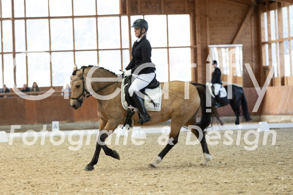 IMG_5543 | Creatify Fotografie