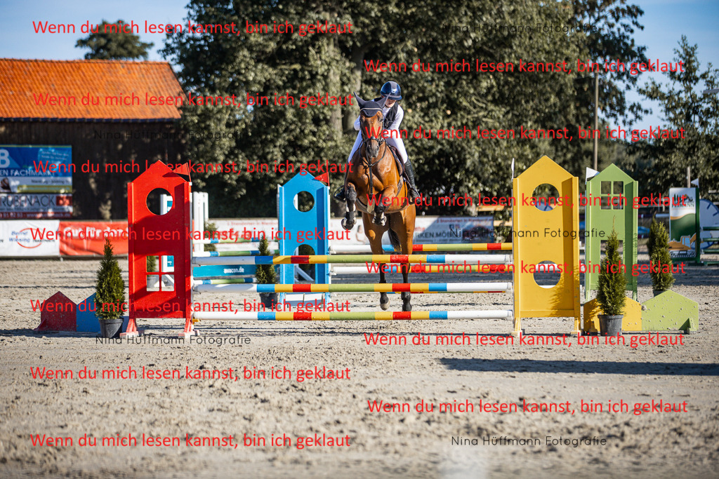 BK1A7698 | Turnierbilder Turnierfotos Nina Hüffmann Turnierfotografie Pferdefotografie Tierzeichnung Haustierzeichnung Pferdezeichnung Hundezeichnung Videograf  - Realisiert mit Pictrs.com