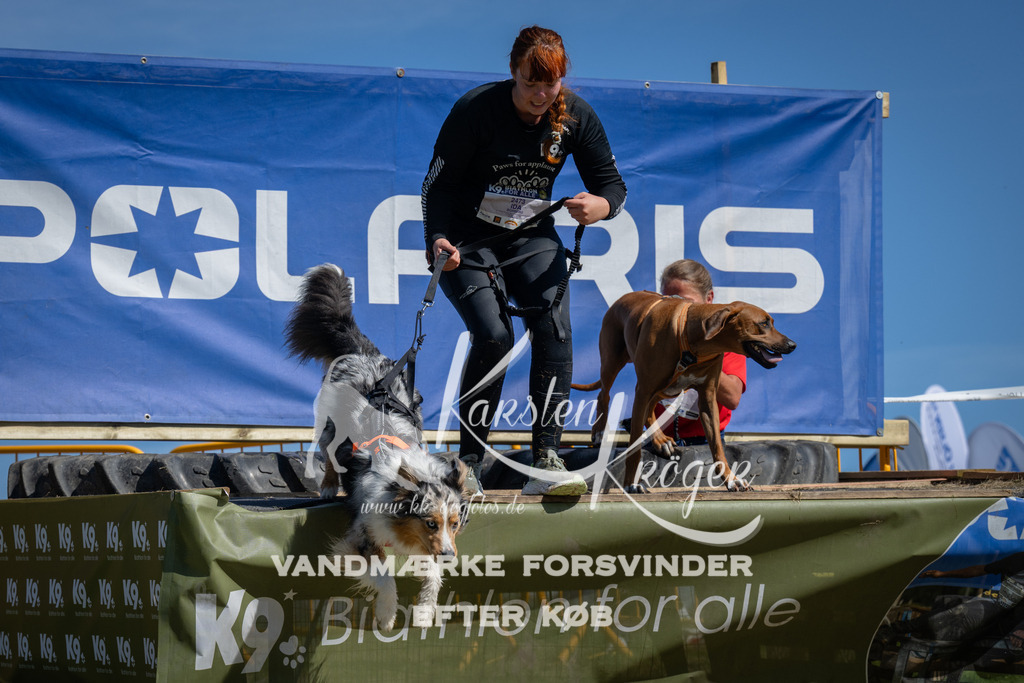 1158_ZZ93123 | kk-dogfotos