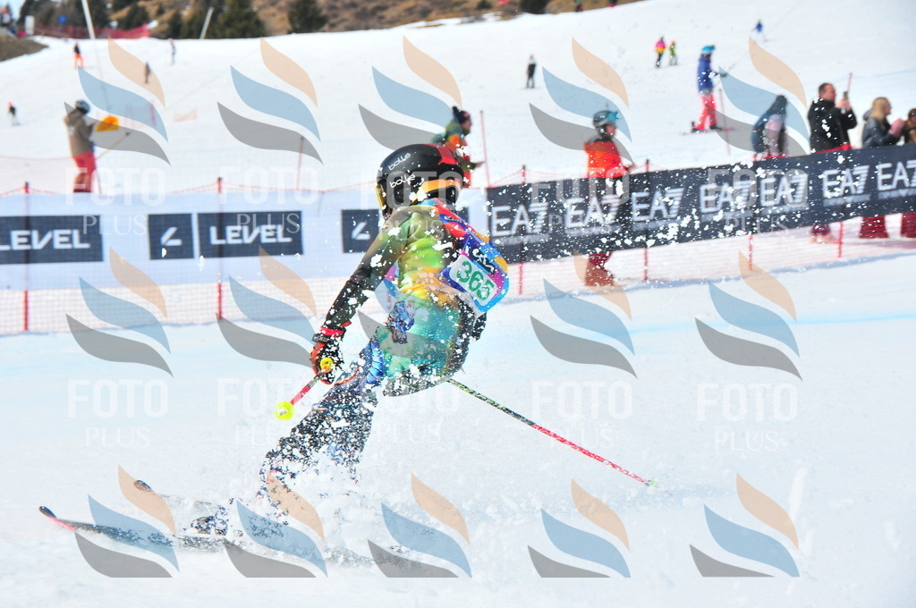 DSC_3274 | holidayphoto