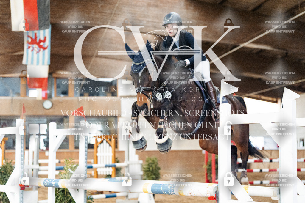 CK906251 | Turnierfotografie Pferdefotografie Trier Rheinland-Pfalz Pferdesport Reitsport Tierfotografie Sportfotografie Pferdevideo Pferdevideografie Equestrianvideography equestrianphotography  - Realisiert mit Pictrs.com