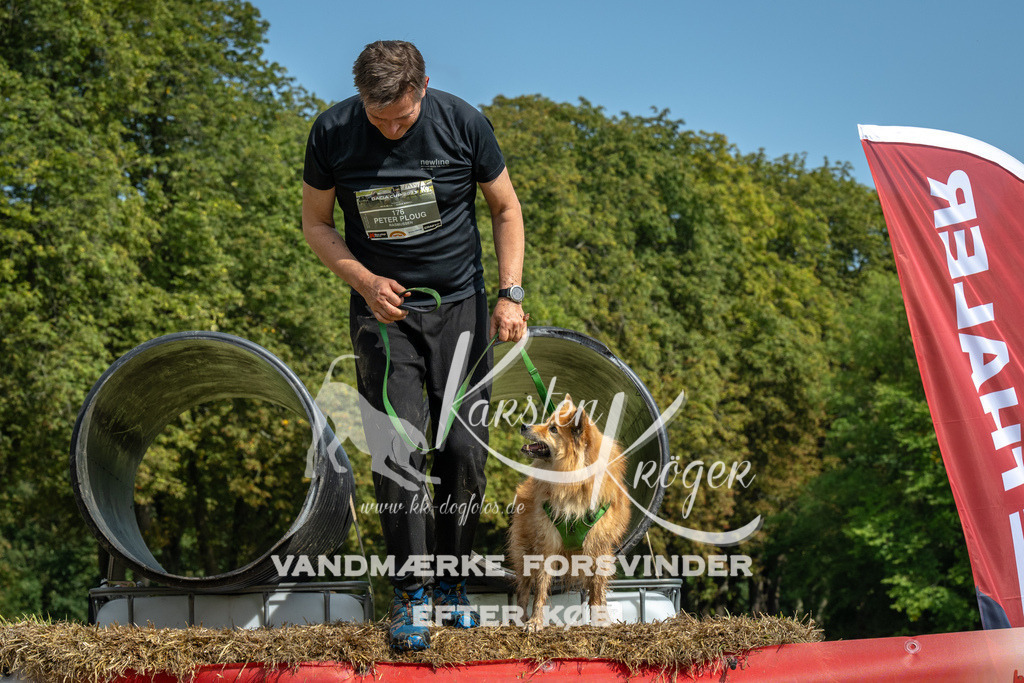 1332_ZZ93733 | kk-dogfotos