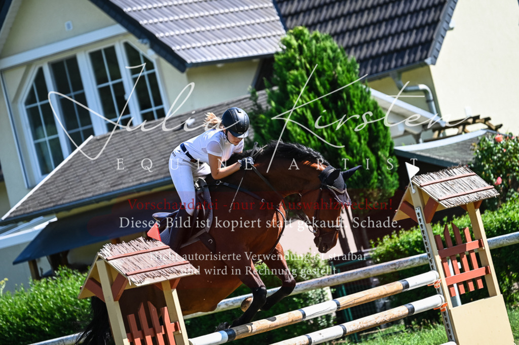 DSC_1737 | Pferde- und Turnierfotografie in Westsachsen. Pferdeportraits, Auftragszeichnungen und intuitive Kunst.
