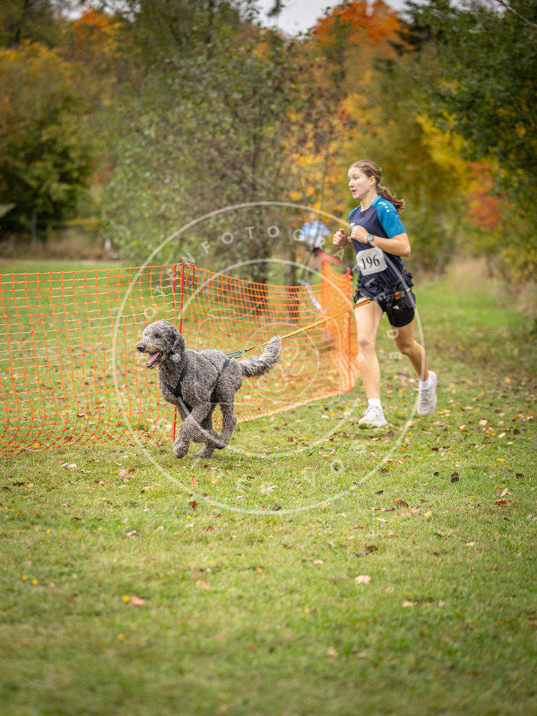 Pfotenfotografie_DV3A3867 | Hundefotografie, Tierfotograf, Pfotenfotografie, Fotoshooting Hund, Hunde Portrait, Hundesport, Hundeportraits, Heideshooting, Hunde, Sportfotograf, Hundefotograf, Turnierhundsport, THS,  - Realisiert mit Pictrs.com