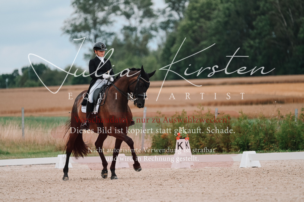 DSC_4156 | Pferde- und Turnierfotografie in Westsachsen. Pferdeportraits, Auftragszeichnungen und intuitive Kunst.