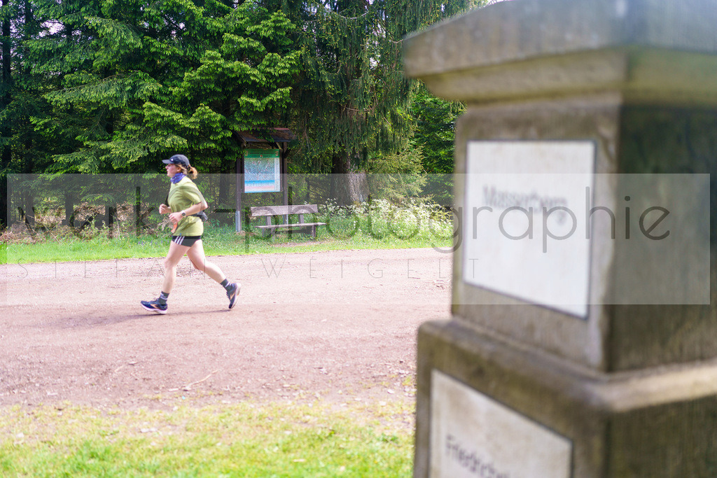 Rennsteiglauf Marathon 2025 | Marathon von Neuhaus/Rwg. nach Schmiedefeld/Rstg. am 17. Mai 2025