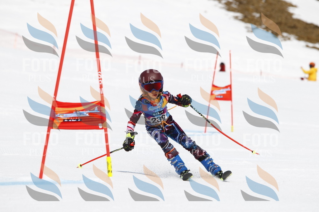 _U3G6079 | holidayphoto