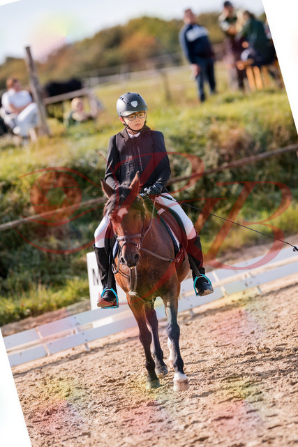 2026_10_03_Siefer-Hof_122316_Z81_23424483 | Professionelle Reitsport-, Turnier- und Eventfotografie von Robert Broda. Galerien mit ausgewählten und bearbeiteten Bildern direkt online ansehen und bestellen.