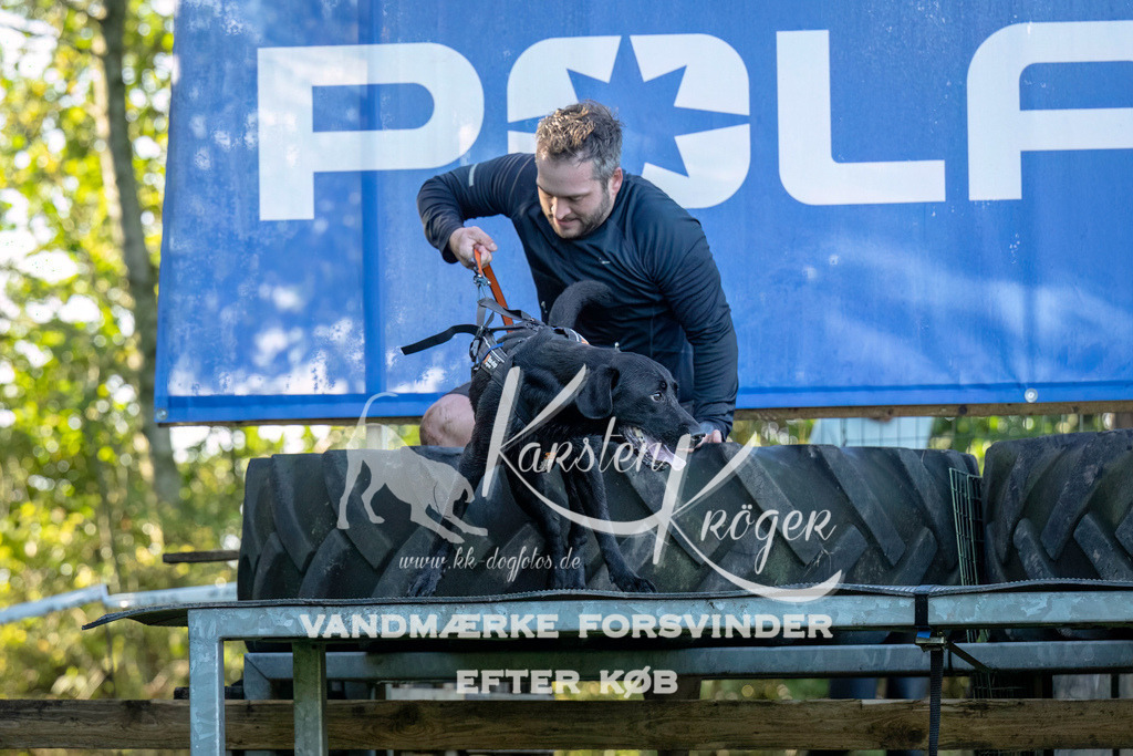 1012--2 | kk-dogfotos