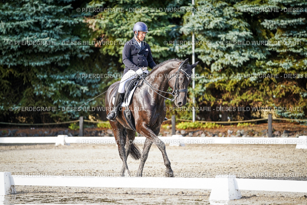 DSC00488 | Pferdegrafie