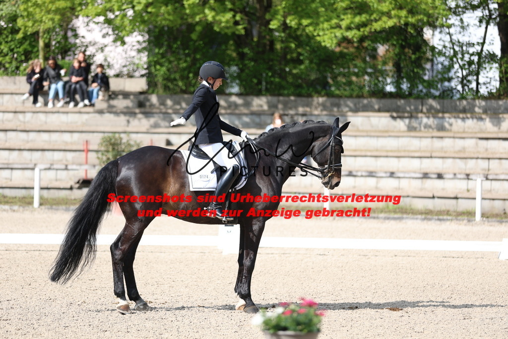 A40A3815 | lmwpictures - Realisiert mit Pictrs.com