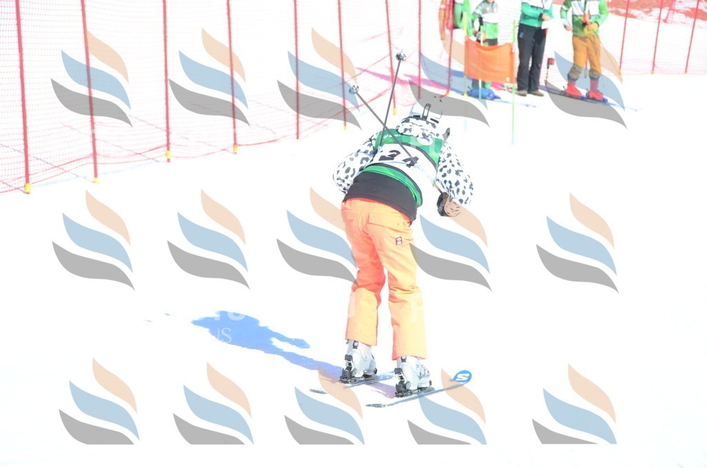 C5922 | holidayphoto