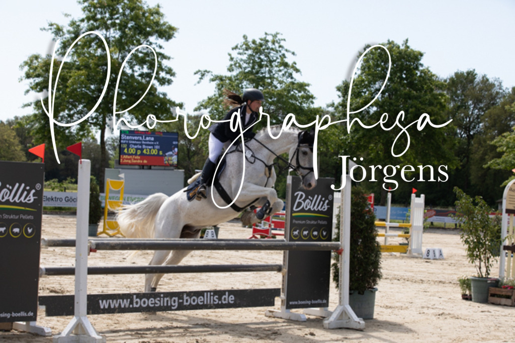 IMG_4013 | photographesa-joergens - Realisiert mit Pictrs.com