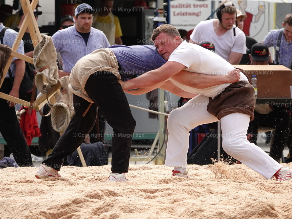 DSC07422 | Schwingen - Realisiert mit Pictrs.com