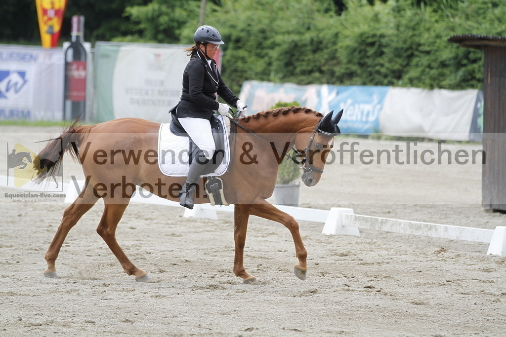 _MG_1753 | equestrian-live-com