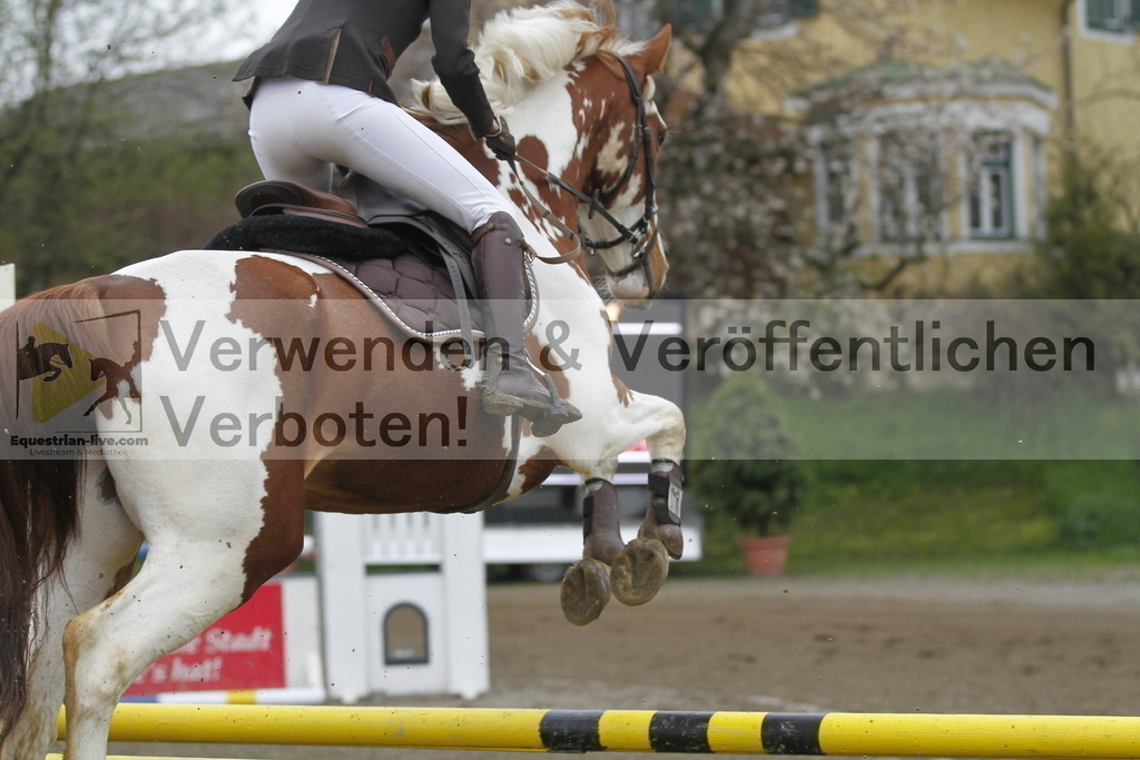 _MG_4227 | equestrian-live-com