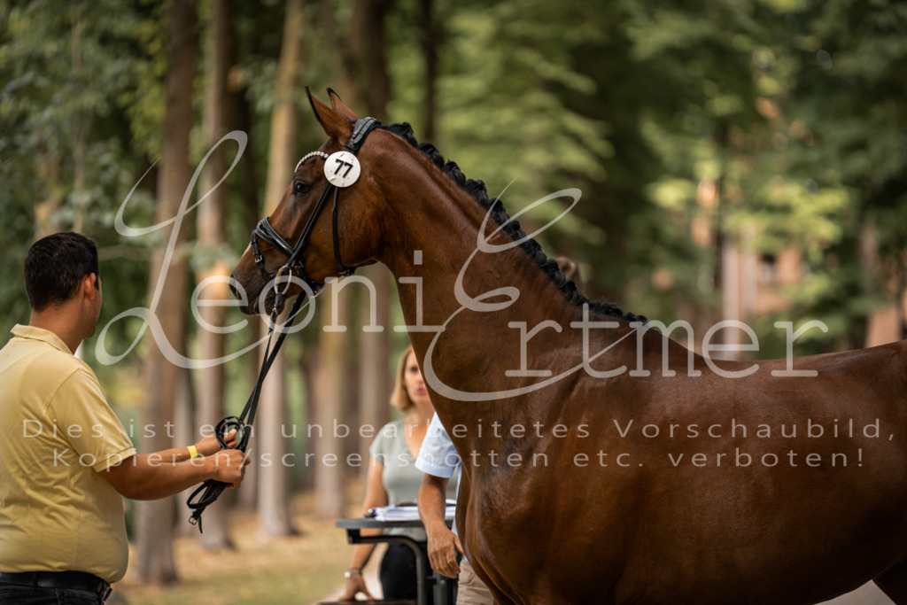 FrPfM00034 | Leoni Ertmer Photography - Realisiert mit Pictrs.com