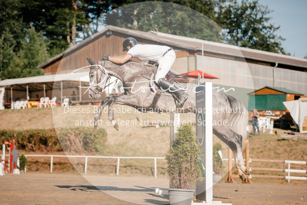 3I6A6295 | Stimmungsvolle Portraits und Reitsportfotografie im Ruhrgebiet und im Münsterland.

Pferdefotografie, Hundefotografie, Tierfotografie, Reportagen, Portraits von Tier und Mensch, Turnierfotografie in Bochum, Recklinghausen, Marl, Haltern am See, Dülmen.. - Realisiert mit Pictrs.com