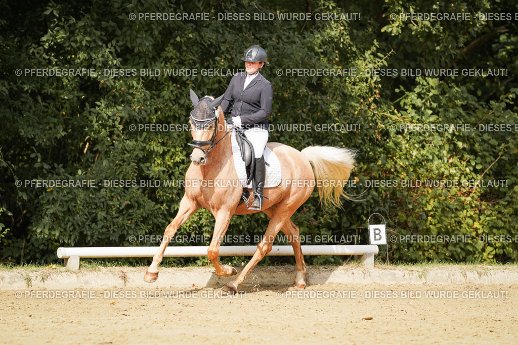 DSC03155 | Pferdegrafie